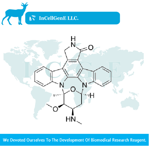 Staurosporine(IC-012066)